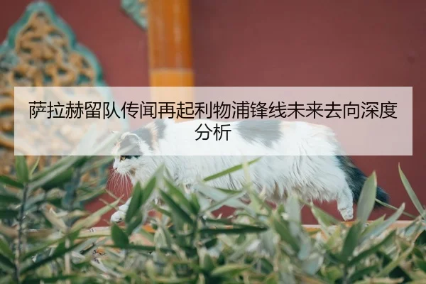 萨拉赫留队传闻再起利物浦锋线未来去向深度分析